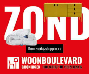 3a
